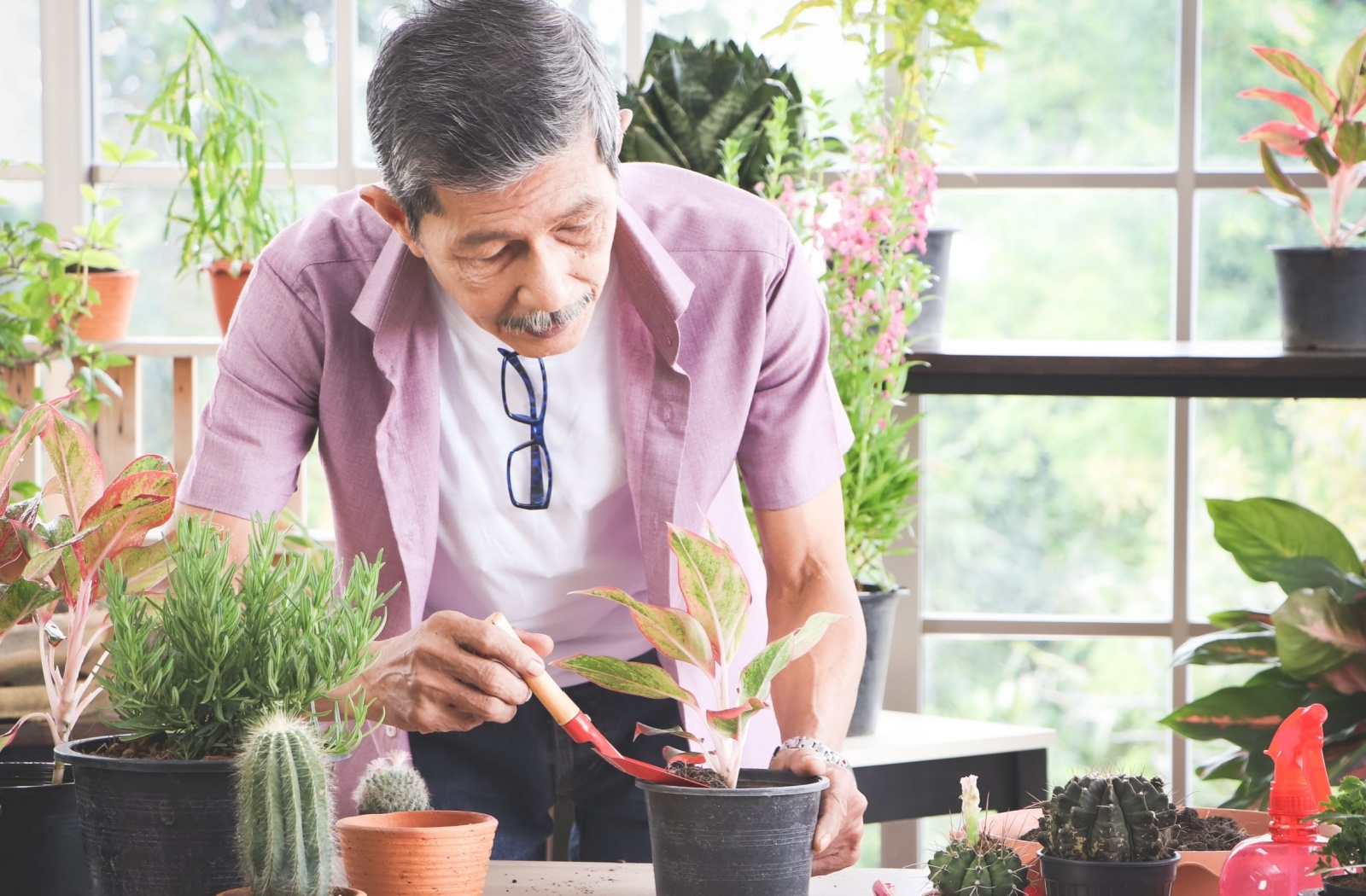 An older adult enjoys a relaxing afternoon tending to an indoor garden.